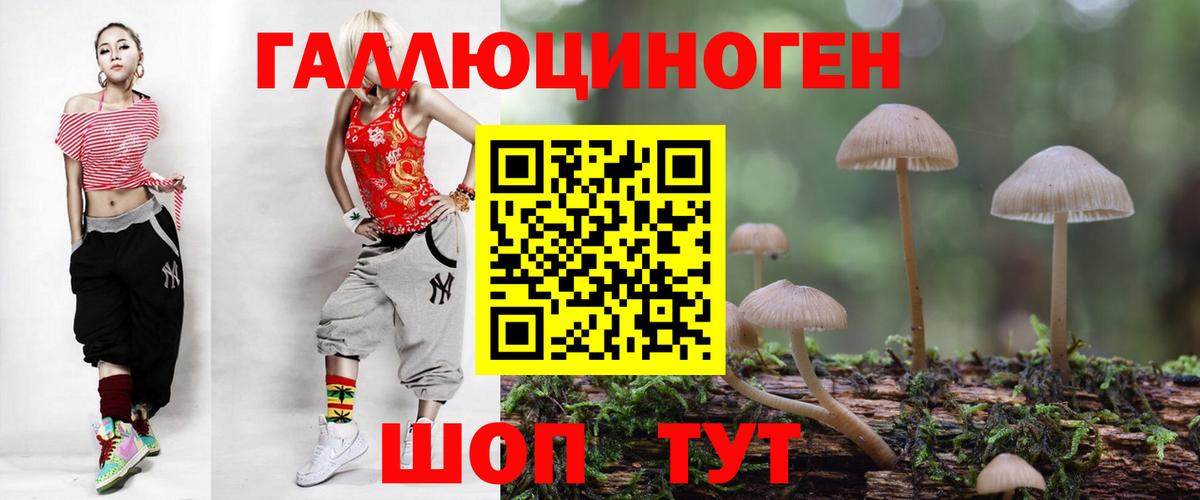 Галлюциногенные грибы MAGIC MUSHROOMS  Вход с VPN  Абакан 